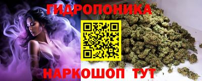 прущие грибы Сланцы